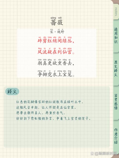 蔷字取名寓意是什么意思？
