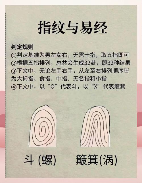 指纹算命中三个斗的女人命运如何？