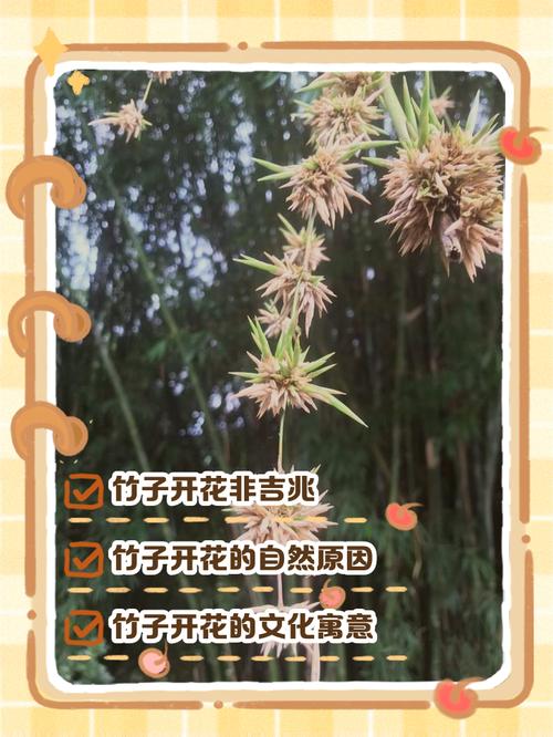 梦见竹子生长旺盛究竟预示着什么吉祥的征兆呢？