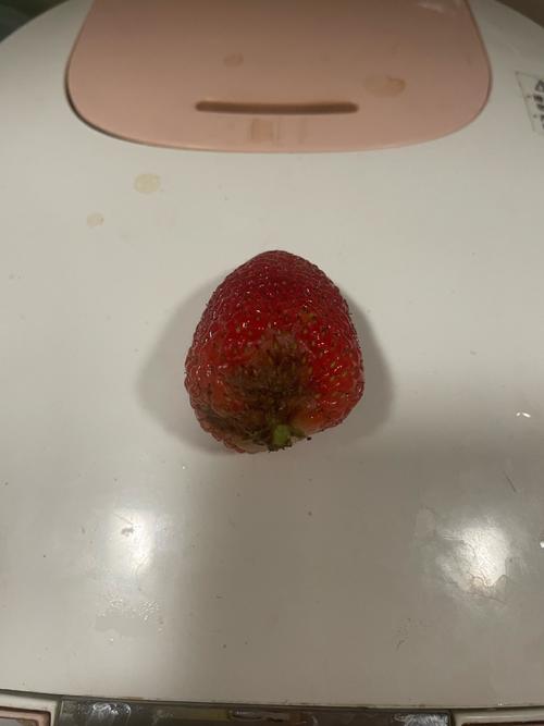 孕妇怀孕期间梦见草莓烂了是什么预兆？