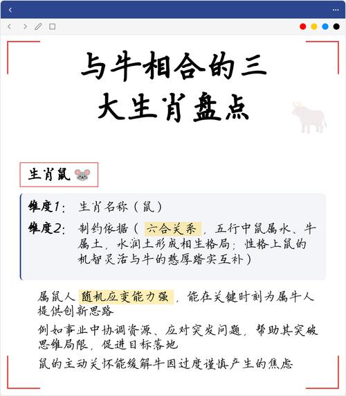 属牛的人最适合和哪个属相的人合作？