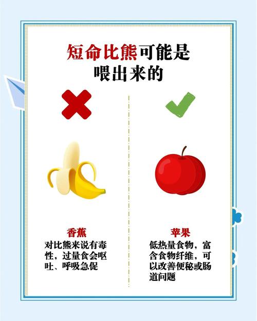 为什么人们普遍认为养两只狗会有什么特别的忌讳？