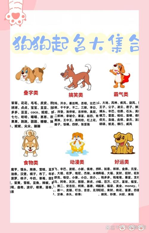 有哪些好听的女孩狗狗名字大全集推荐？