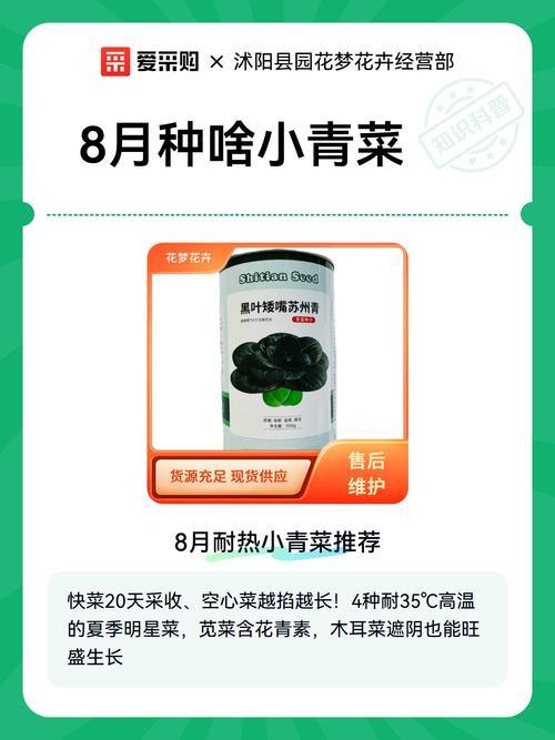 孕妇梦见绿色青菜是什么吉凶预兆？