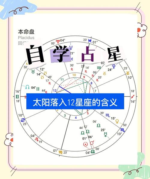 2004年11月17日出生的人是什么星座，五行中缺什么元素？
