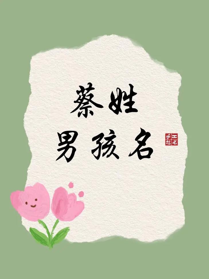 有哪些寓意深刻的名字适合姓蔡的男宝宝？