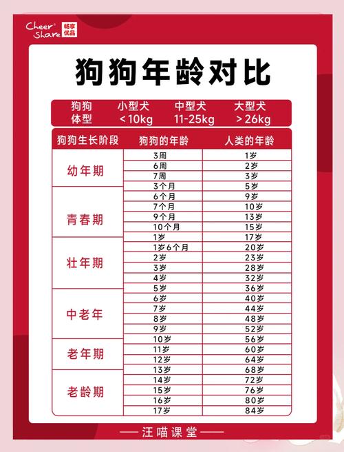 属狗的年份都有哪些，对应现在分别多少岁了？