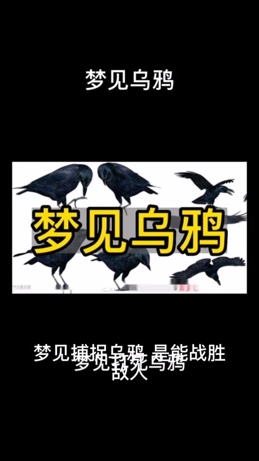 梦见彩色乌鸦预示着什么吉凶？周公解梦嫩否给出答案？