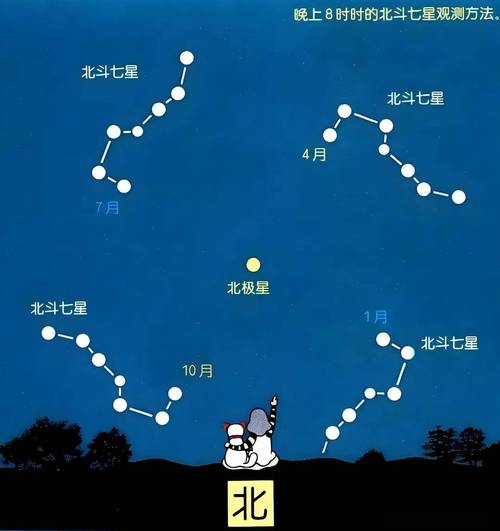北斗七星对应的星座是哪些？北斗星和北极星分别属于哪两个星座？