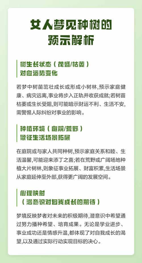 梦见一片茂盛的大森林有什么特殊预兆？