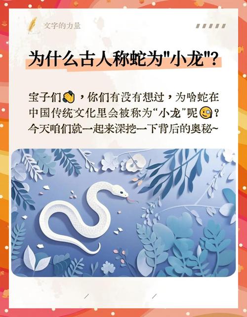 属龙和属蛇合作做生意会有哪些潜在的不利因素？