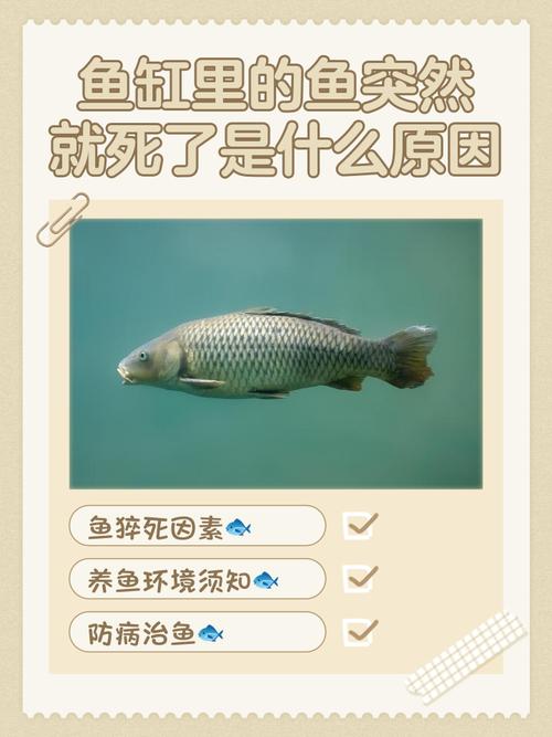 梦见鱼缸里好多鱼但有的鱼死了这是不是预示着什么不幸的事情即将发生呢？