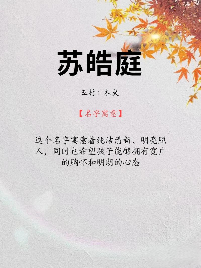 苏姓男孩取什么名字既霸气又好听？