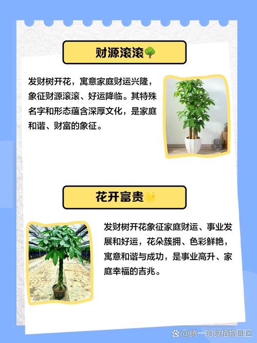 梦见发财树开花了是什么吉兆？周公解梦有何解释？