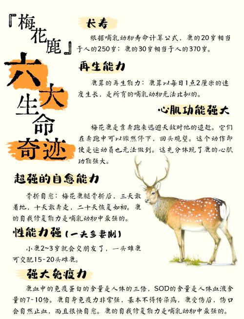 梦见梅花鹿攻击我，这预示着什么？梅花鹿咬我是什么征兆？