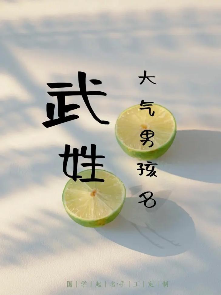 武姓男孩取名，有没有寓意勇敢、阳光的四字名字推荐？