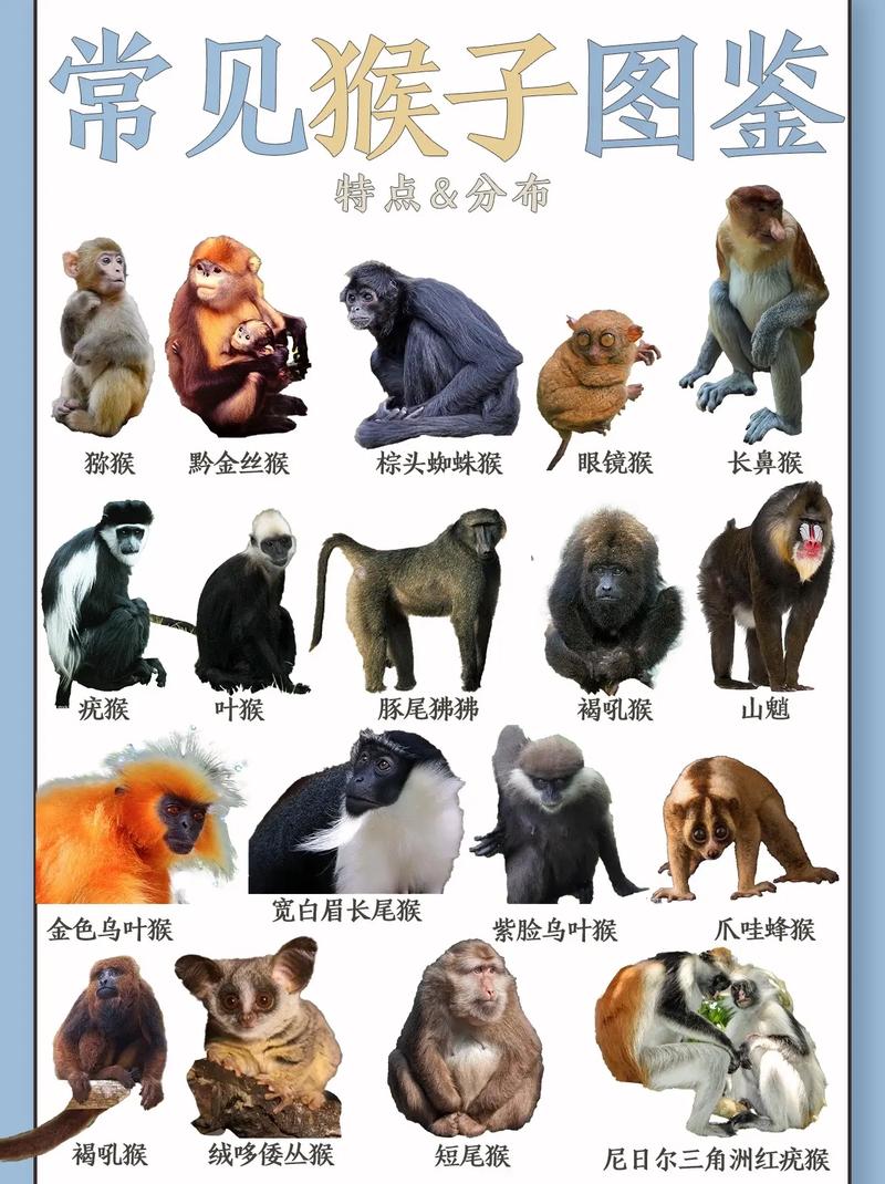 夏天最常见的动物是什么竟然是十二生肖中的这位？