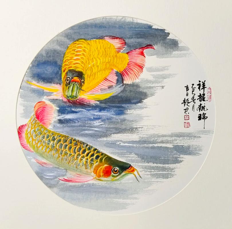 鱼在文化中究竟象征着什么它又代表着怎样的寓意？