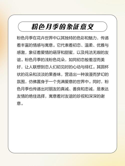 月季花不同颜色分别象征什么深层寓意和象征意义？
