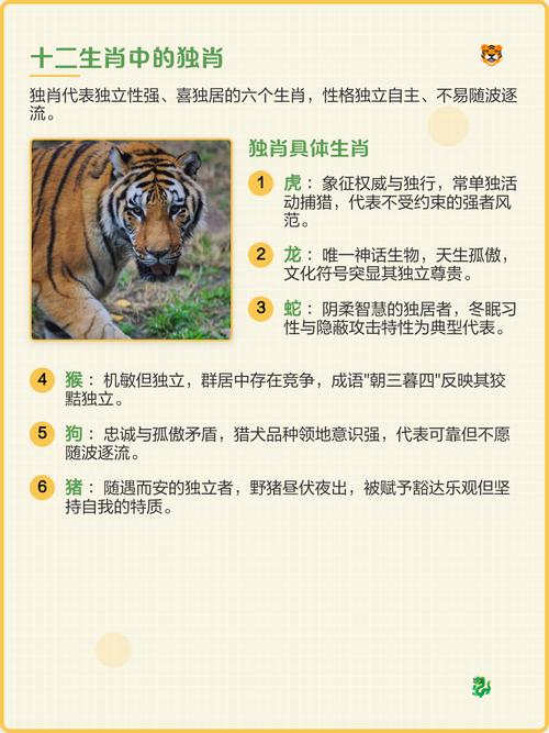 独肖指的是哪些生肖，具体包括哪几个生肖？
