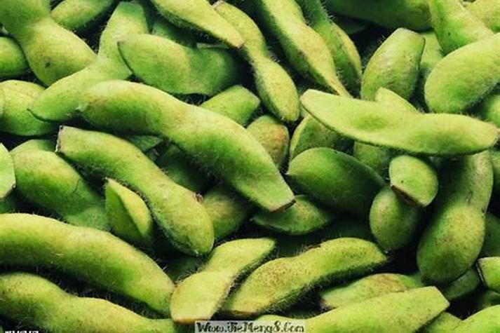 梦见捡芸豆有什么特殊含义或象征？