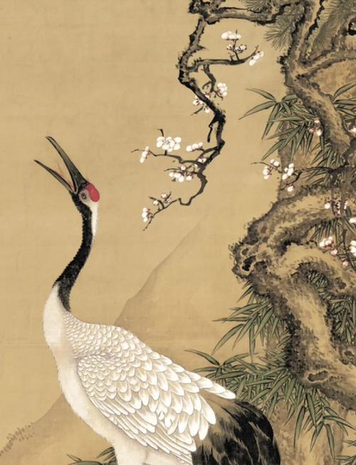 松鹤鹿分别象征什么寓意？仙鹤又有什么象征意义呢？