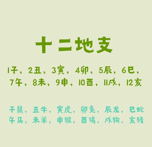 五行旺土对应的生肖是哪个？全国各地的解释有哪些？