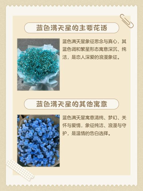 蓝色满天星究竟象征着什么深层寓意？