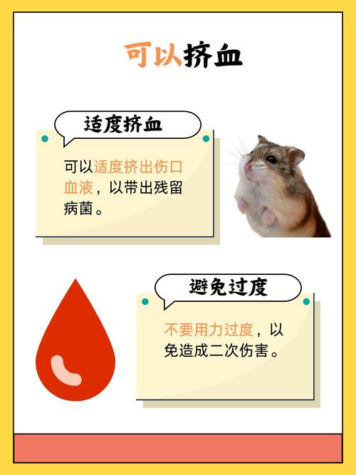 梦见自己被仓鼠咬了有什么特别的预兆或含义呢？