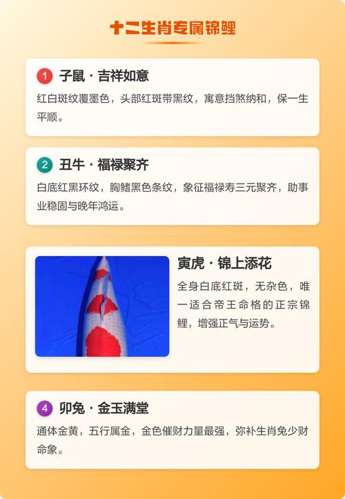 十二生肖中，哪一种生肖的象征是锦鲤？