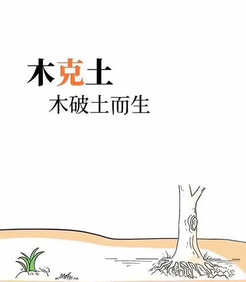 为什么金命人认为木旺金是自己的财运？