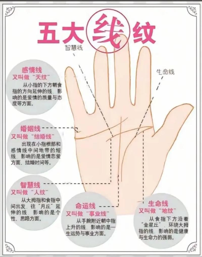 手相中元宝纹明显，如何用手机扫描识别掌纹？