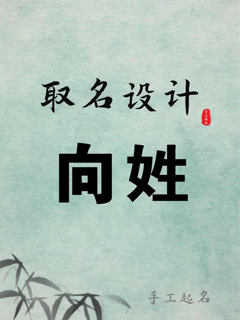 姓向的男孩名字有哪些好听的推荐？