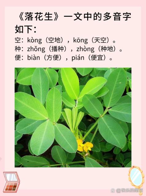 梦见自己吃了两颗白白胖胖的花生，这梦境有什么特殊含义吗？