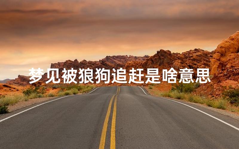 梦见自己追打大狼狗，这究竟预示着什么不祥的征兆呢？