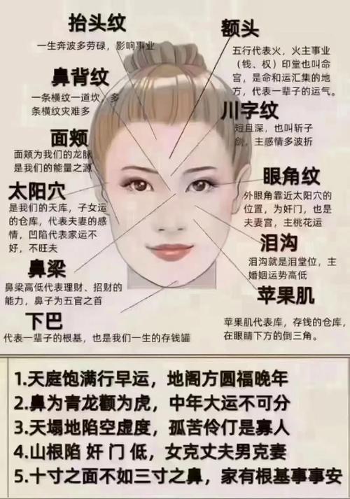 女人面相中哪些特征预示着财运亨通？