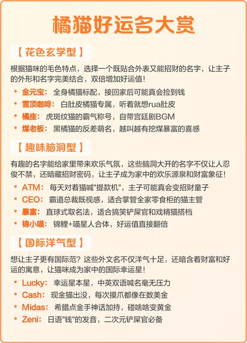 什么样的宠物名字能带来财运，旺家旺业呢？