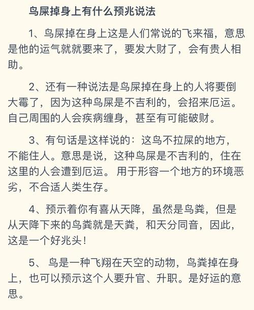 梦见大量鸟粪预示着什么含义？周公解梦嫩给出怎样的解释？