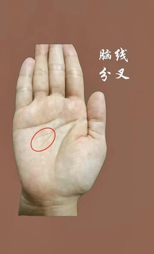 中晚年手相特征是什么预示着大富大贵？