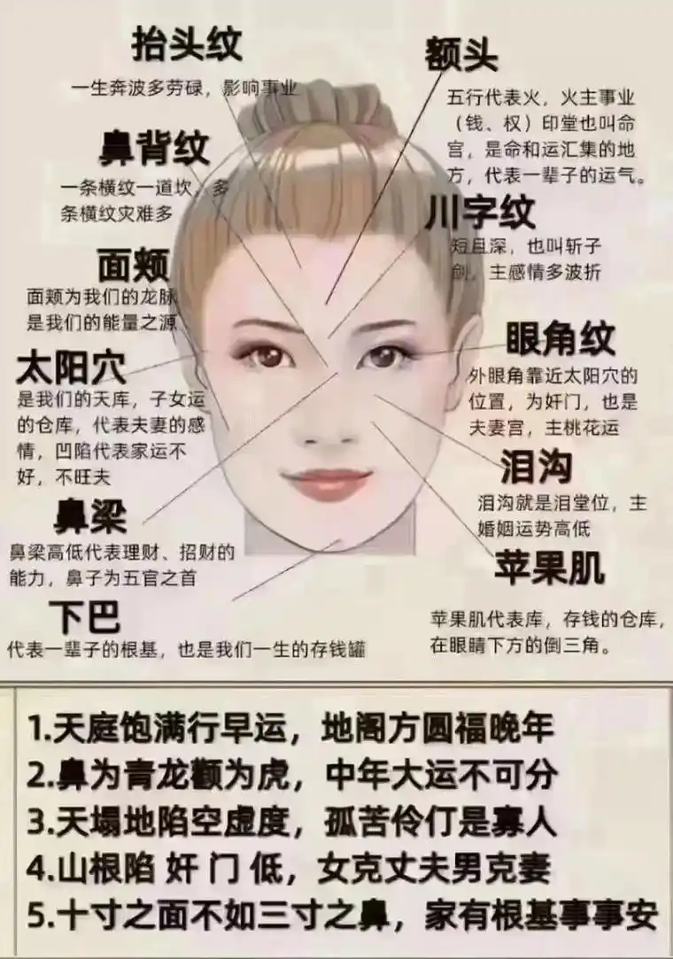 女性面相有哪些特点算得上是好的？