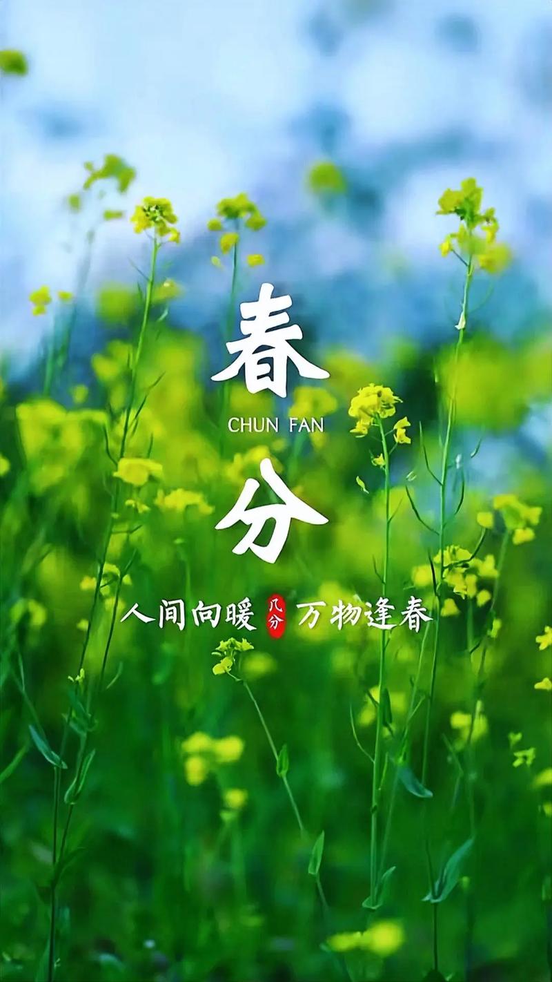 农历春分是哪个月哪一天？