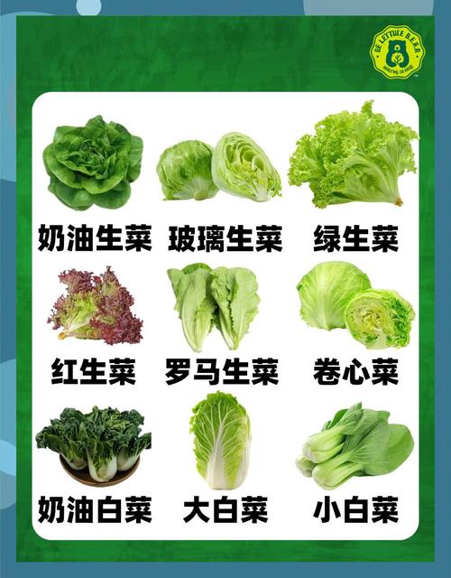 有哪些蔬菜的名字是由两个字组成的呢？