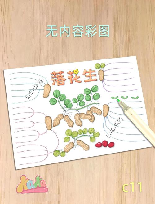 落花生性格围绕花生是朴实无华的这句话，从哪些方面进行了描述？