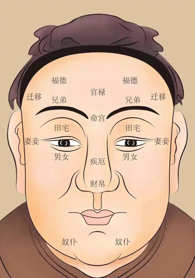 当官的人的面相特征有哪些，通常被认为丑陋吗？