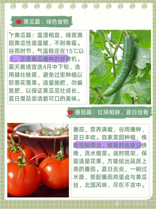 谷雨前后最适合种植哪五种蔬菜？