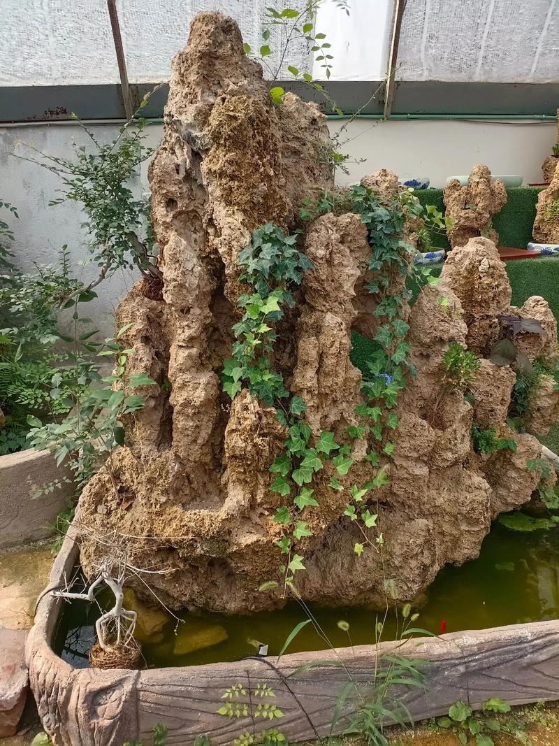 吸水石摆放位置及适合种植的植物是什么？