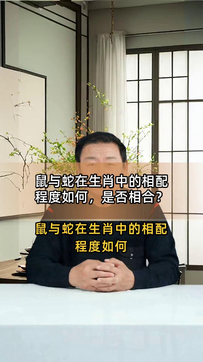 属蛇妈妈和属鼠宝宝合不合，这样的组合是否吉利呢？