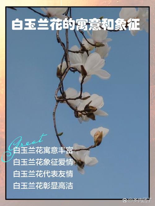 梦见树上开满白花是什么预兆或象征？
