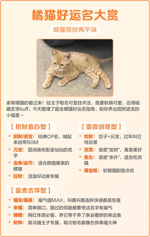 什么样的宠物名字能带来财运，旺家旺业呢？
