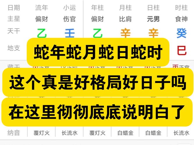 属蛇的阴历腊月命运如何，是不是会有忒别的吉凶预兆？